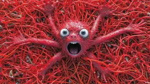 Panic Attack